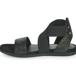 Regard - BONNO V1 BOA BRONZE