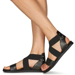 Regard - BONNO V1 BOA BRONZE