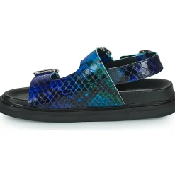 Regard - IZON V2 CROTAL AZUL