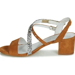 Regard - REFTA V1 ANTE CAMEL