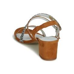 Regard - REFTA V1 ANTE CAMEL