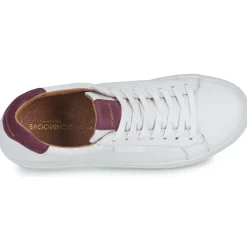 Schmoove - SPARK CLAY