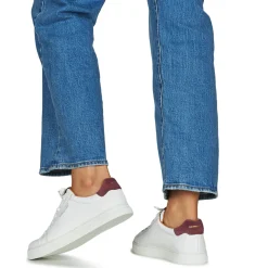 Schmoove - SPARK CLAY