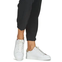 Schmoove - SPARK CLAY