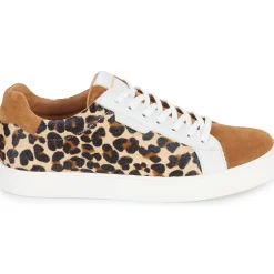 Schmoove - SPARK CLAY W