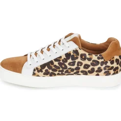 Schmoove - SPARK CLAY W