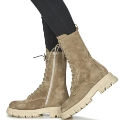 Semerdjian - E666-E2-CAM-CORDA