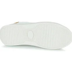 Serafini - J. CONNORS