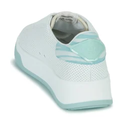 Serafini - J.CONNORS