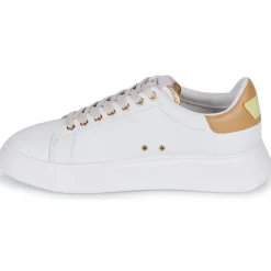 Serafini - J.CONNORS