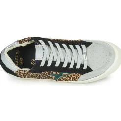 Serafini - SAN DIEGO