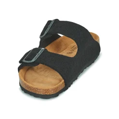 Shepherd - CASSANDRA