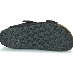 Shepherd - CASSANDRA