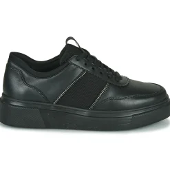 Stonefly - ALLEGRA 8