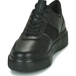 Stonefly - ALLEGRA 8