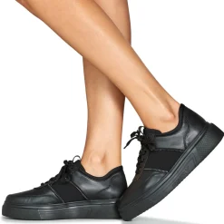 Stonefly - ALLEGRA 8