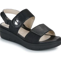 Stonefly - AQUA III 12