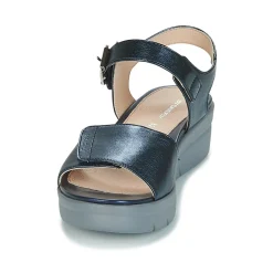 Stonefly - AQUA III 2 LAMINATED