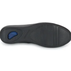 Stonefly - PASEO IV 1