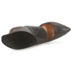 Stéphane Kelian - IVAN