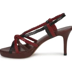 Stéphane Kelian - PRISCILLE