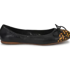 Stéphane Kelian - WALLY