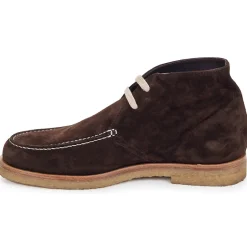 Swamp - POLACCHINO SU