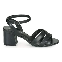 The Divine Factory - LS2115