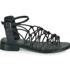 The Divine Factory - LS1793H