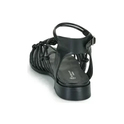 The Divine Factory - LS1793H