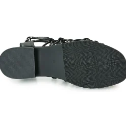 The Divine Factory - LS1793H