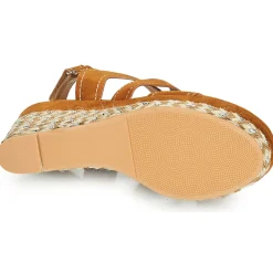 The Divine Factory - QL4619