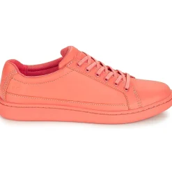 Timberland - San Francisco Flavor Oxford