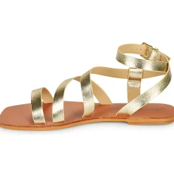 Vanessa Wu - SD2364OR