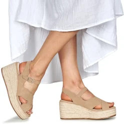 Vanessa Wu - THEOLINE