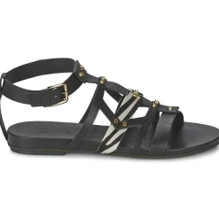 Vic - GINKO ACHANTUS