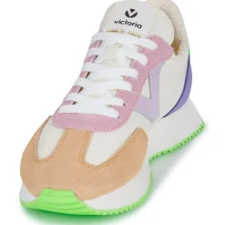 Victoria - COSMOS SERRAJE MULTICOLOR