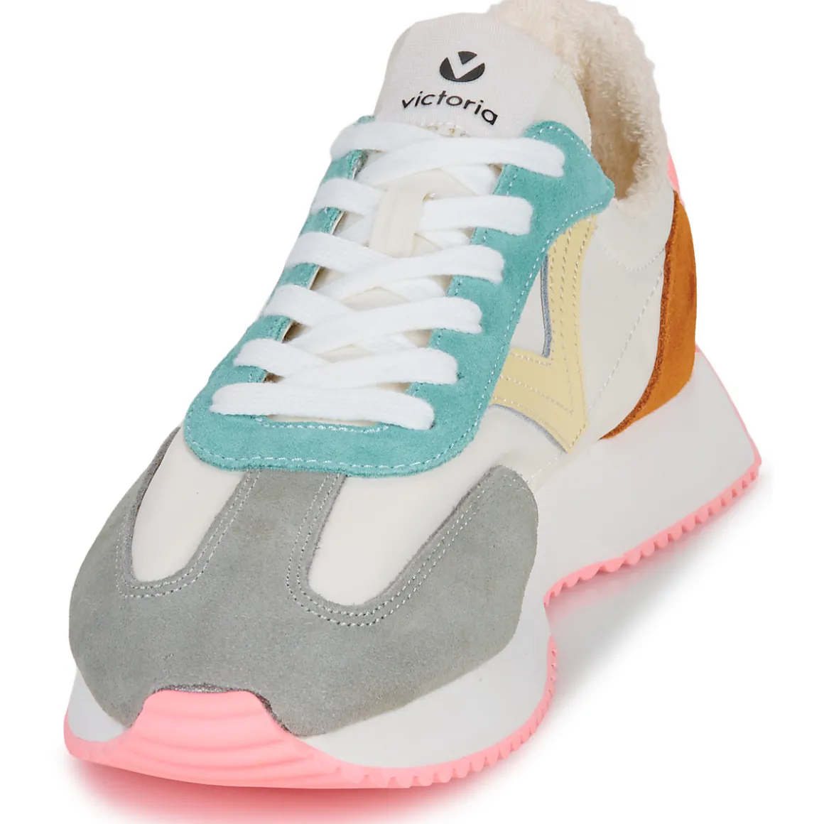 Victoria - COSMOS SERRAJE MULTICOLOR