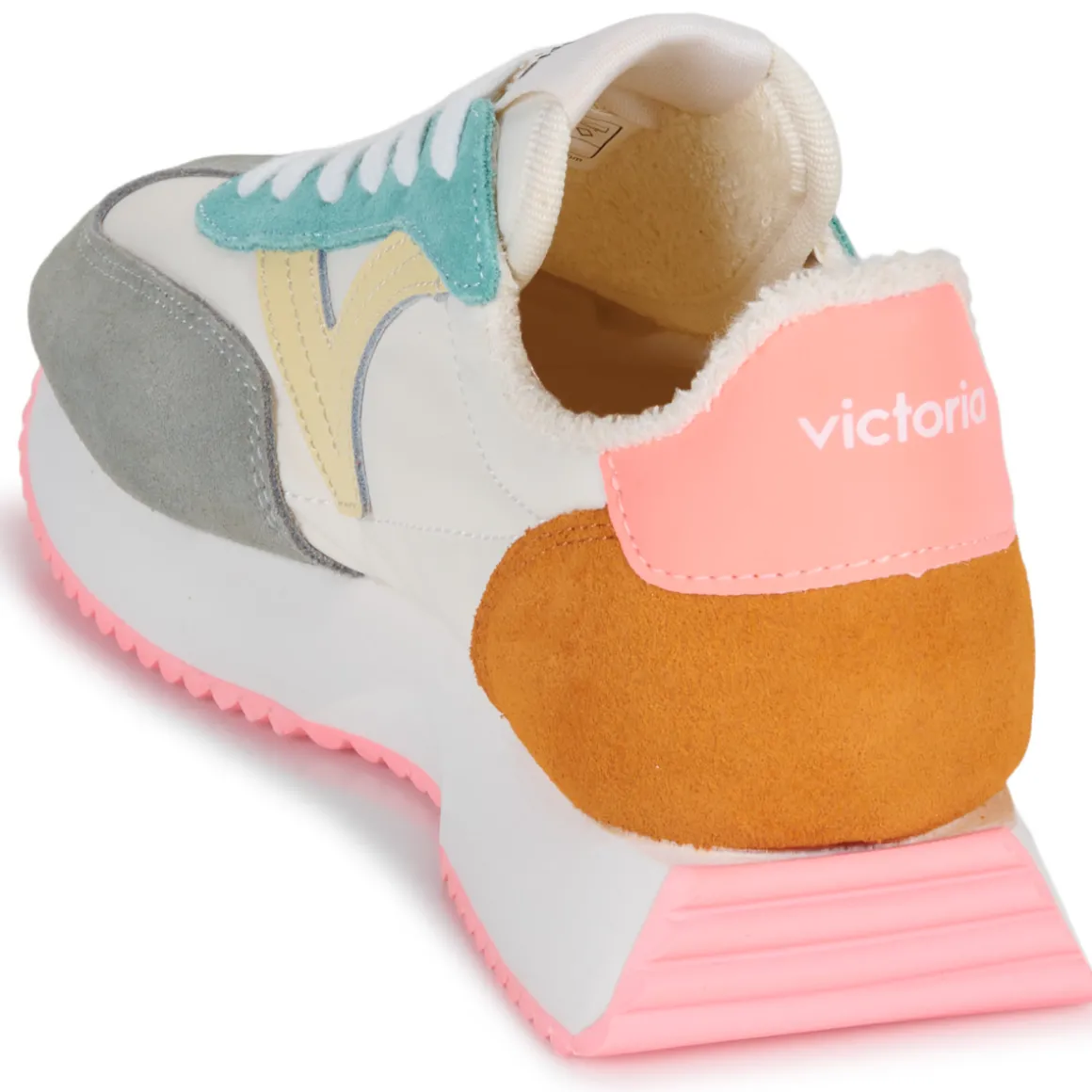 Victoria - COSMOS SERRAJE MULTICOLOR