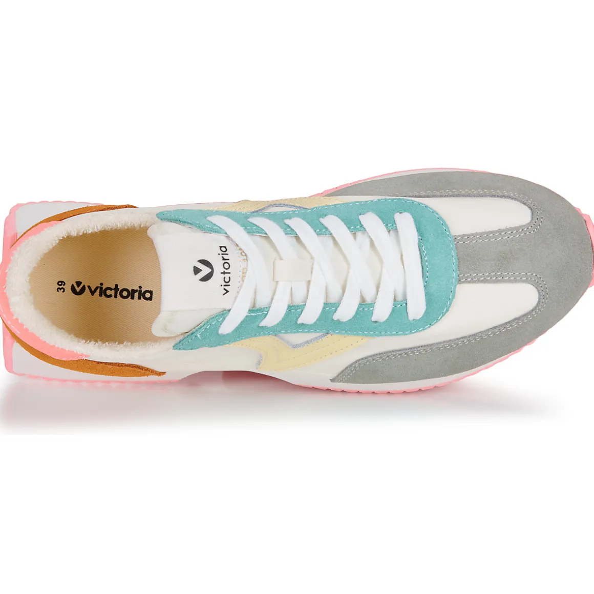 Victoria - COSMOS SERRAJE MULTICOLOR