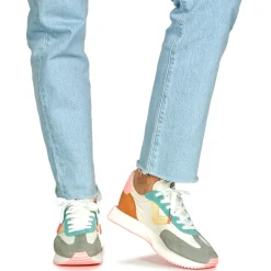 Victoria - COSMOS SERRAJE MULTICOLOR