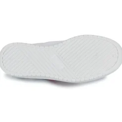 Victoria - 1258201FRAMBUESA