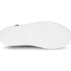 Victoria - INGLES ESTAP HOJAS TROPICAL