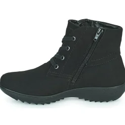 Westland - ORLEANS 126