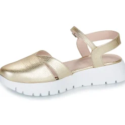 Wonders - A-2461-MAX-PLATINO