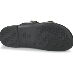 Wonders - B-7421-WILD