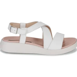 Wonders - C-6505-WILD