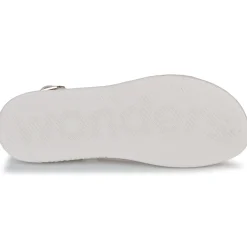 Wonders - C-6505-WILD