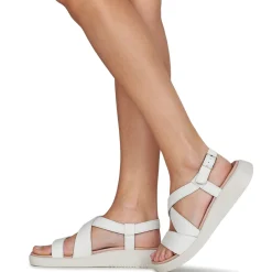 Wonders - C-6505-WILD