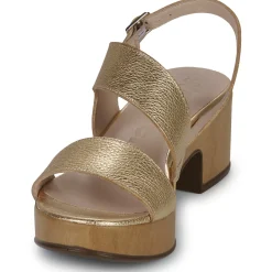 Wonders - D-8803-GLOW